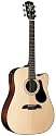Alvarez RD20SC Cutaway Dreadnought Acoustic Guitar, Top Solid Spruce, Back and Side Mahogany