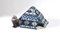 Marshall Ferret Leisure Lodge Frog
