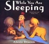 While You are Sleeping