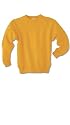 Hanes MidWeight Fleece Hooded Sweatshirt