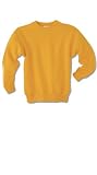Hanes P360 Comfort Blend Youth Crew
