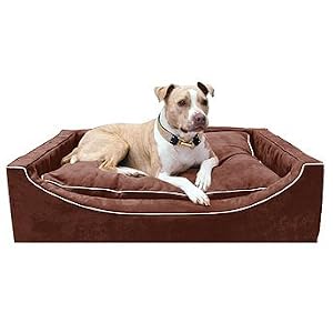 Heavenly Lounger Pet Bed - Olive, Small - Frontgate Dog Bed