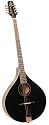 Trinity College TM-375B Irish Bouzouki with hardshell case