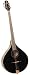 Search: Trinity College TM-375B Irish Bouzouki (Black Finish)