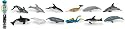 Safari LTD Whales and Dolphins Toob