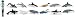 Safari LTD Whales and Dolphins Toob
