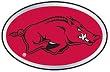 Arkansas Razorbacks Color Auto Emblem - College Athletics Sports Merchandise