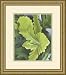 Art Select Green Oak Leaves by G. O'Keffe Framed Art Ea - Model SP3292 Categorization: Office Framed Art & Decor > Museum Masterpieces Framed Art