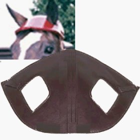 Intrepid International Head Bumper [Misc.]
