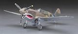 Hasegawa 1/48 P-40E Warhawk
