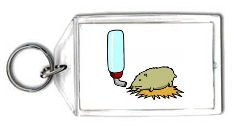 Schlüsselhalter – Wasser, Käfig, Flasche, Haustier, Hamster, Trinken