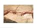 Creation of Adam (hands detail) Michelangelo Buonarroti 32x24