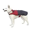 Designer Rain Jacket, Medium - Colors May Vary