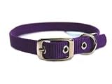 Hamilton Single Thck Nyln Dlx Dg Collar Hot Purple 5 8 X18 - ST