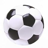 Soccer Ball Magnet