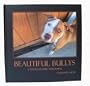 Beautiful Bullys "A Photographic Portrayal"