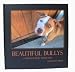 Beautiful Bullys A Photographic Portrayal