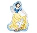 Disney Princess BIRTHDAY PARTY Balloons Decorations Supplies SET OF 5!!