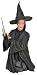 Harry Potter Professor McGonigall Mini Bust by Gentle Giant