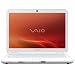 Sony VAIO VGN-NS140E/W 15.4-Inch Laptop (2.0 GHz Intel Core 2 Duo T5800 Processor, 3 GB RAM, 250 GB Hard Drive, Vista Premium) White