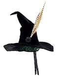 Adult Professor McGonagall Costume Hat with Feather