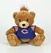 Chicago Bears Large Plush NFL Team Mascot Toy 12