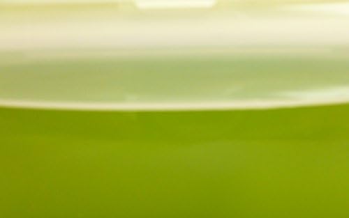 Bento Box for Hot or Cold Dishes - Micro Safe - Dishwasher Safe - Color Options: Avocado Green and Sweet Raspberry (Avocado Green)