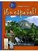 McDougal Littell En Espanol: Level 2 (Spanish Edition)