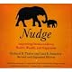 Nudge