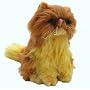 HARRY POTTER CROOKSHANKS PLUSH