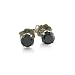 1/4ct Black Diamond Stud Earrings in 10k White Gold
