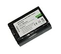 High Capacity - Rechargeable battery for Sony HDR-CX505 HD Handycam Camcorder - AAA Products - 12 Month Warranty