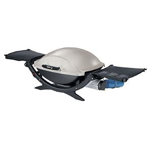 Weber 396002 Q 200 Portable Gas Grill