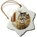 Cats - Maine Coon - Ornaments