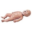 Simulaids Sani-baby Cpr Manikin Sani-baby 4-pack W/ Carry Bag
