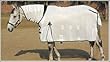 TuffRider Fly Sheet With Neck Cover