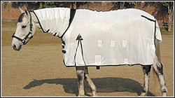 TuffRider Fly Sheet With Neck Cover