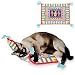 Cat Supplies