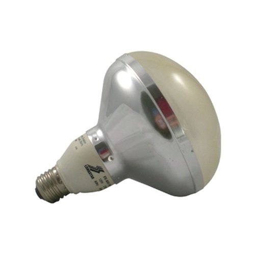 LongStar FE-RSF-30W50K R40 Compact Fluorescent Flood