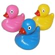 3" Floating Weighted Duck Set of 12 Assorted Colors