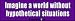 Imagine A World Without Hypothetical Situations - Funny Bumper Stickers (Medium 10x2....