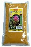 春ウコン 粉末 500ｇ 袋入