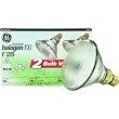 GE Lighting 25679 100PAR/H/FL/2PK Halogen Flood Bulb