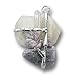 Pisces Amulet