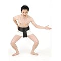 相撲のまわし