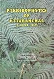 Pteridophytes of Uttaranchal: A check-list