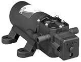 PAR MAX 1 PUMP 12V [Misc.]