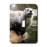 Wild animals - Otter - Light Switch Covers - single toggle switch