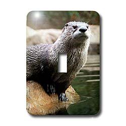 Wild animals - Otter - Light Switch Covers - single toggle switch