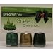 China Glaze 3 x Nail Polish 'Dreamin' Of A Green Christmas' Gift Set